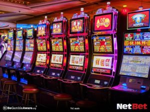 toyotapg - Cassino Bet Oficial